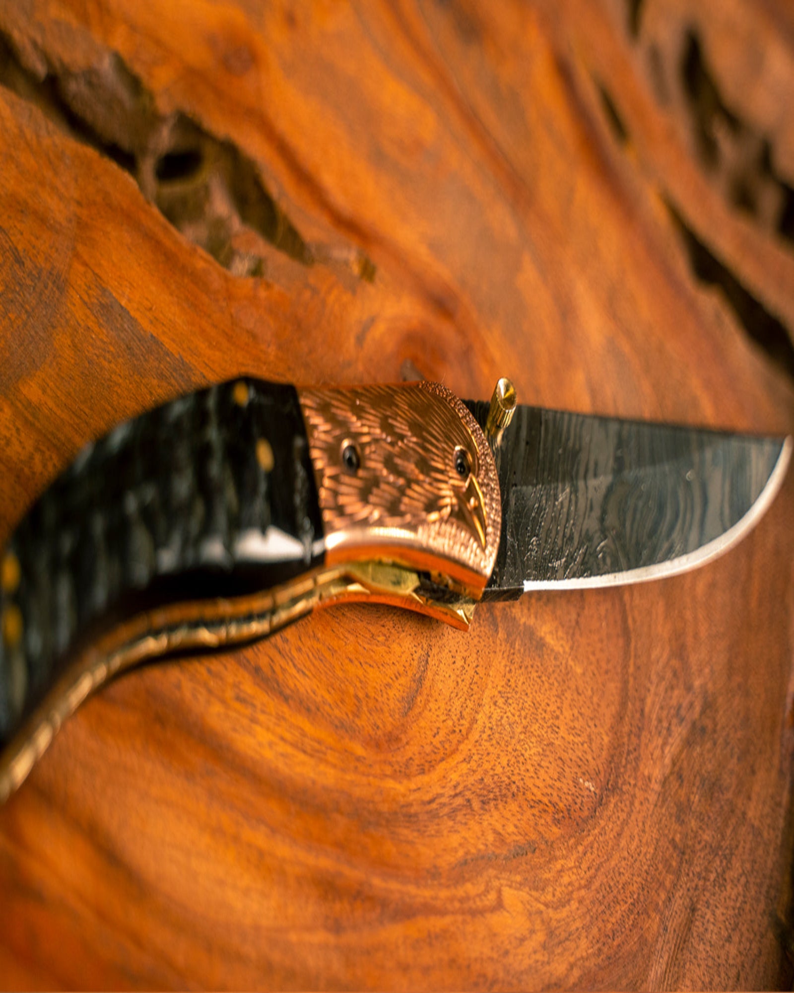 Folding Damascus With Ram Horn Handle